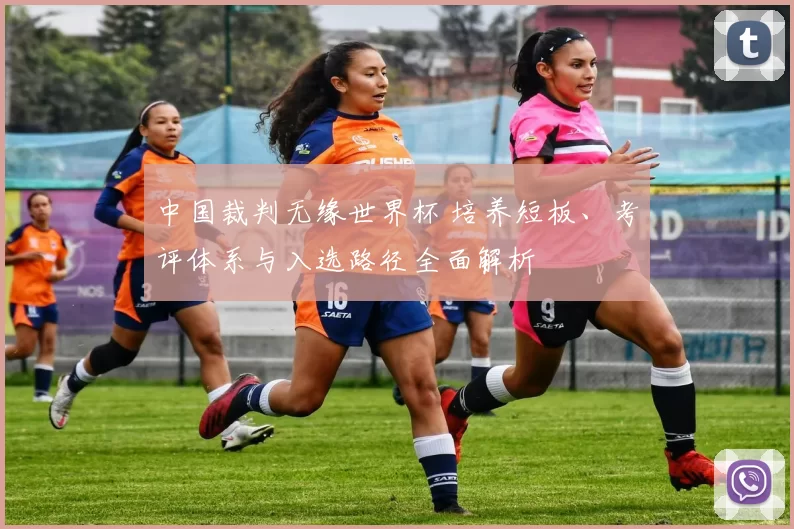 中国裁判无缘世界杯 培养短板、考评体系与入选路径全面解析