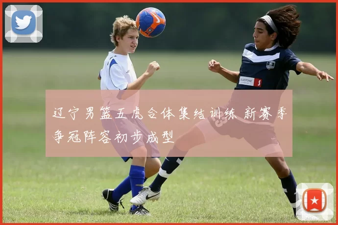 辽宁男篮五虎合体集结训练 新赛季争冠阵容初步成型