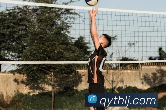 星空体育(中国)官方网站发展历程